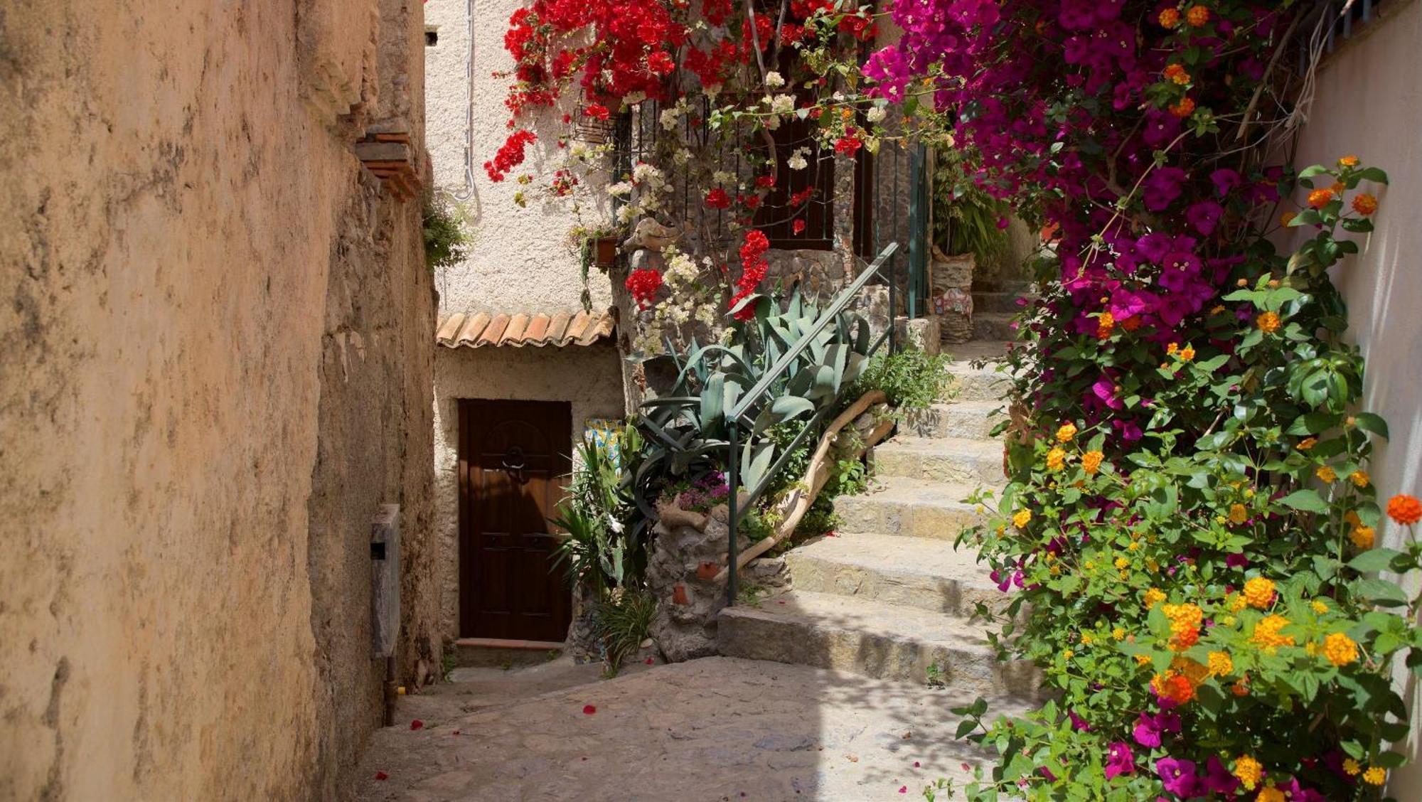 شقة The Lemon Tree House سكاليا المظهر الخارجي الصورة