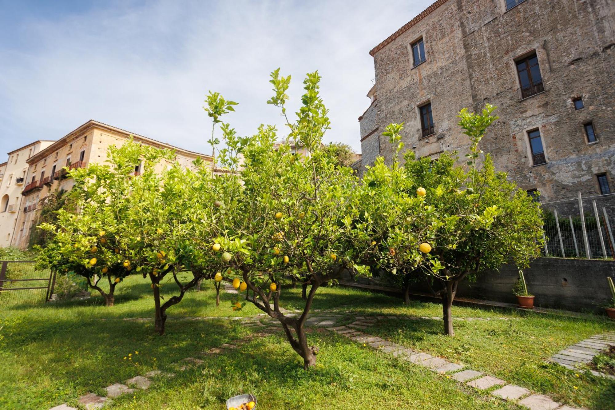 شقة The Lemon Tree House سكاليا المظهر الخارجي الصورة